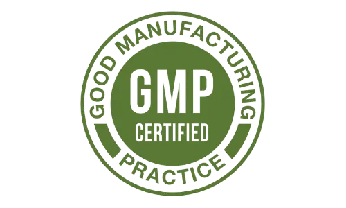 Wellanaturals Moringa Pills GMP Certified
